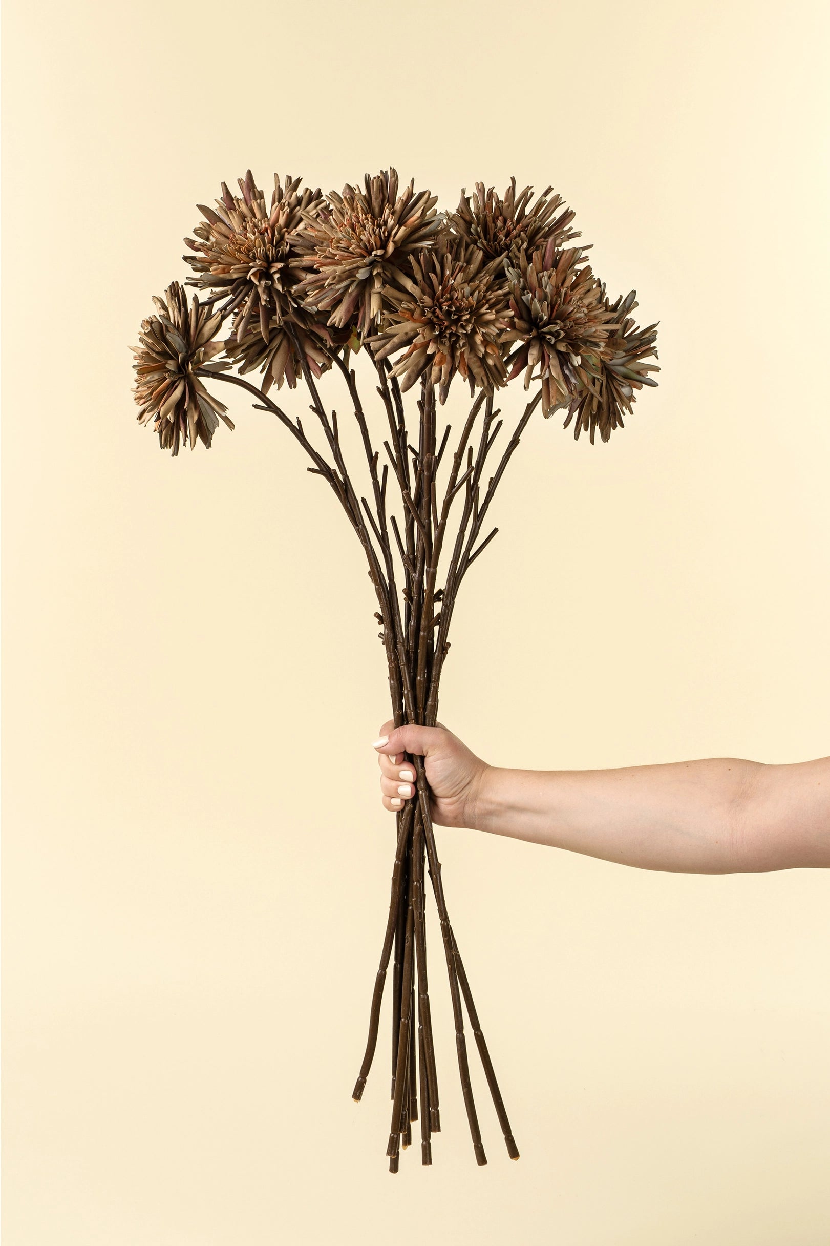 A hand holds Indaba's Dahlia Stem Russet—large, brown faux flowers with long stems—against a plain beige background, making it a stylish decor accent.
