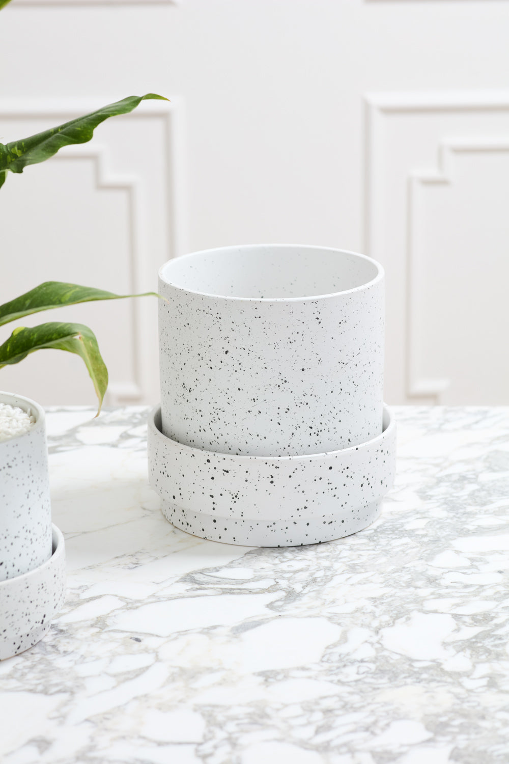 The Claxton Pot with Saucer L by Accent Decor, a white speckled ceramic planter with an oversized matching saucer, sits on a marble-patterned surface beside a leafy green plant and another similar pot, against a white paneled wall.