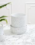 The Claxton Pot with Saucer L by Accent Decor, a white speckled ceramic planter with an oversized matching saucer, sits on a marble-patterned surface beside a leafy green plant and another similar pot, against a white paneled wall.