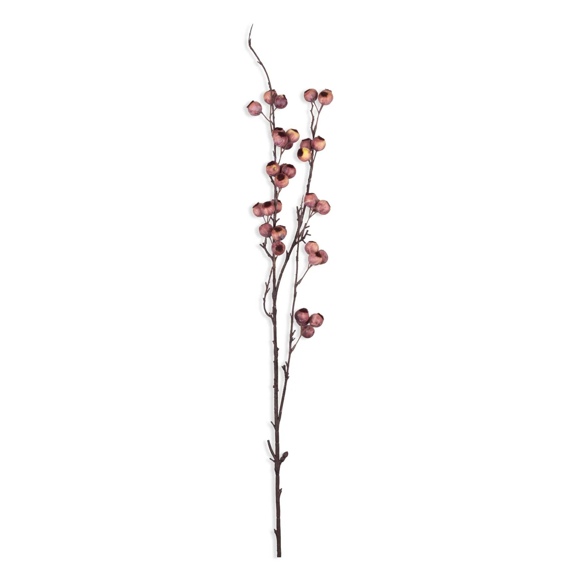 The Hawthorne Berry by Abigail Ahern features a tall, brown botanical branch with pink artificial berries and twigs, displayed against a white background.