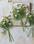 Three Hellebore Bunch, White artificial flower stems by Abigail Ahern, with green stems, are arranged on a light textured surface—one resting on a closed vintage book while others lie nearby amid scattered petals.