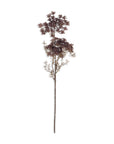 The Queen Anne's Lace Purple by Abigail Ahern features a single tall, slender stem with delicate, dark reddish-brown clusters, capturing timeless botanical beauty and refined elegance against a white background.