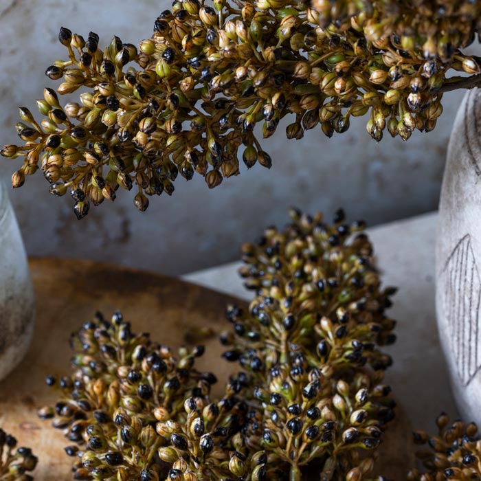 Close-up of Abigail Ahern's Sorghum Stem Umber, featuring brown floral buds and clusters with tan and black seeds, styled on a rustic wooden surface and in a light vase for a natural, textured look.