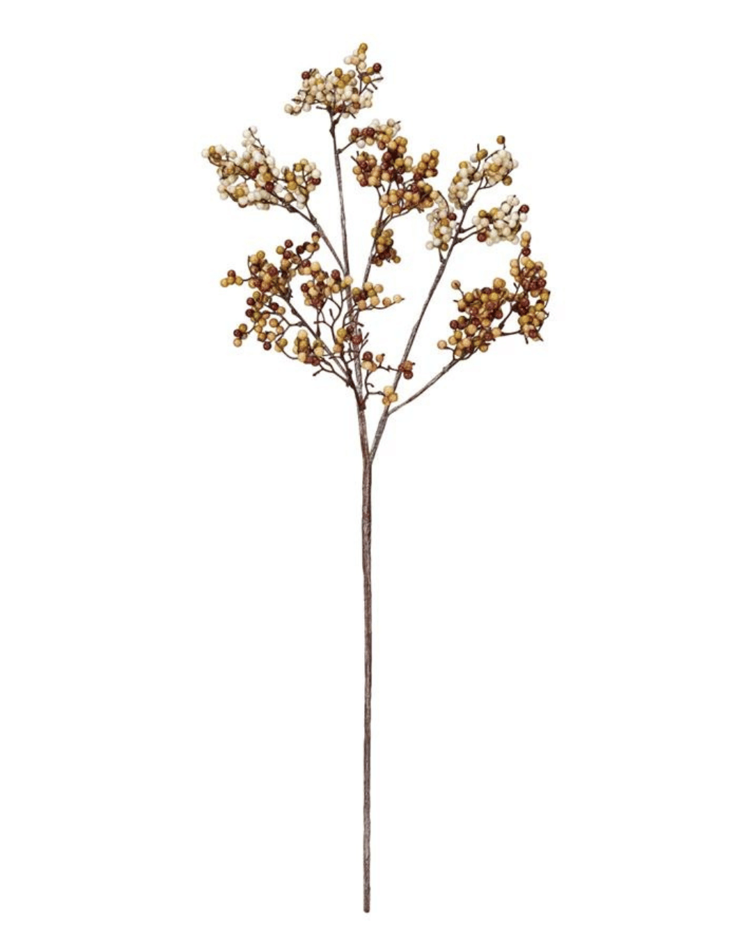 A tall, slender branch with multiple offshoots is adorned with clusters of small, round berries. The Faux Berry Stem from Creative Co-op features cream and tan faux berries that create a natural and earthy appearance perfect for home decor. The branch has a minimalist and rustic aesthetic, making it an elegant piece for any setting.