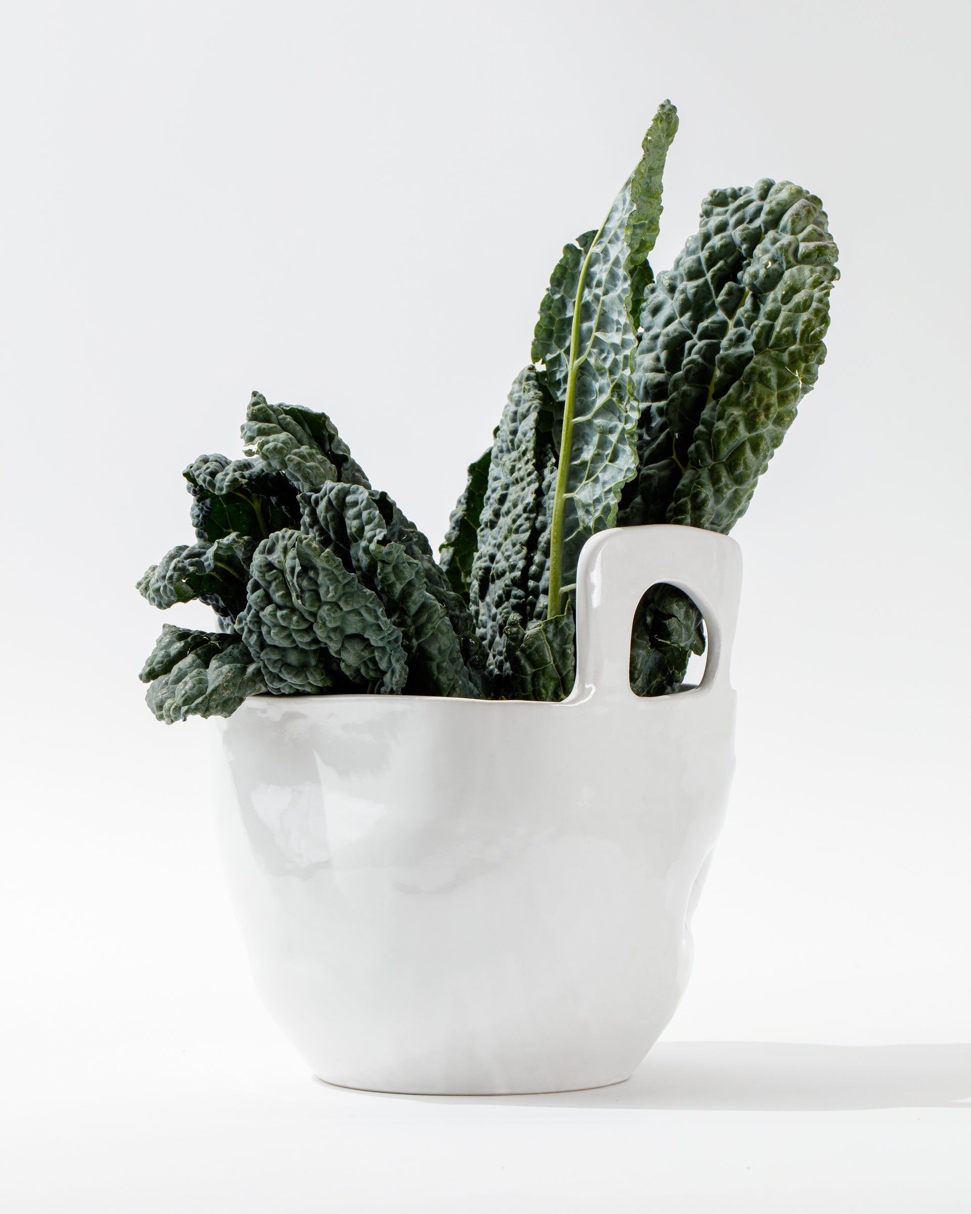 A white high-fired ceramic cup from Montes Doggett, known as the 4994 Bowl no. 994, holds several large, dark green leaves of Lacinato kale. The leaves, with their bumpy texture, stand upright in the elegant and minimalist bowl. Handmade in Peru, the plain white background emphasizes the vibrant color and texture of the kale.