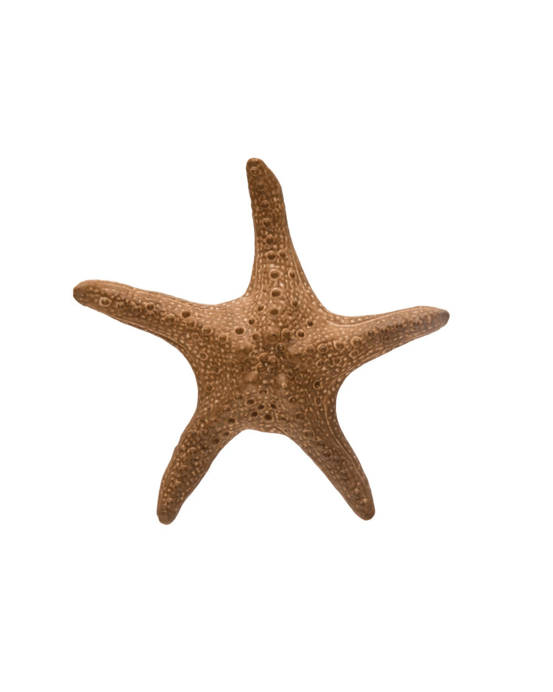 Matte Brown Starfish Stoneware with Reactive Glaze