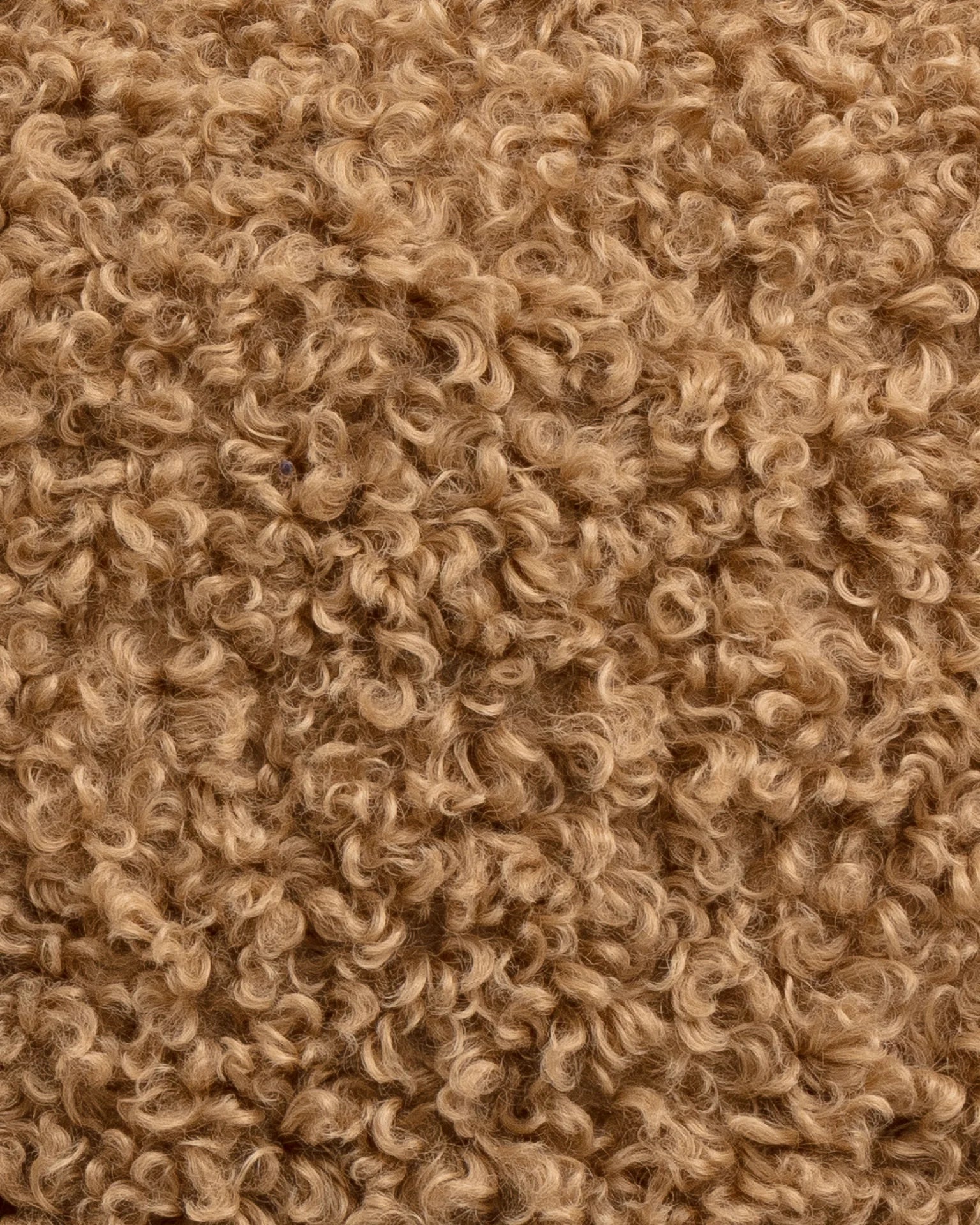 Close-up of a textured surface showing tightly curled light brown hair, depicting a dense pattern of natural curls in Scottsdale, Arizona using the Gabby Curly Camel Pillow 26x26.