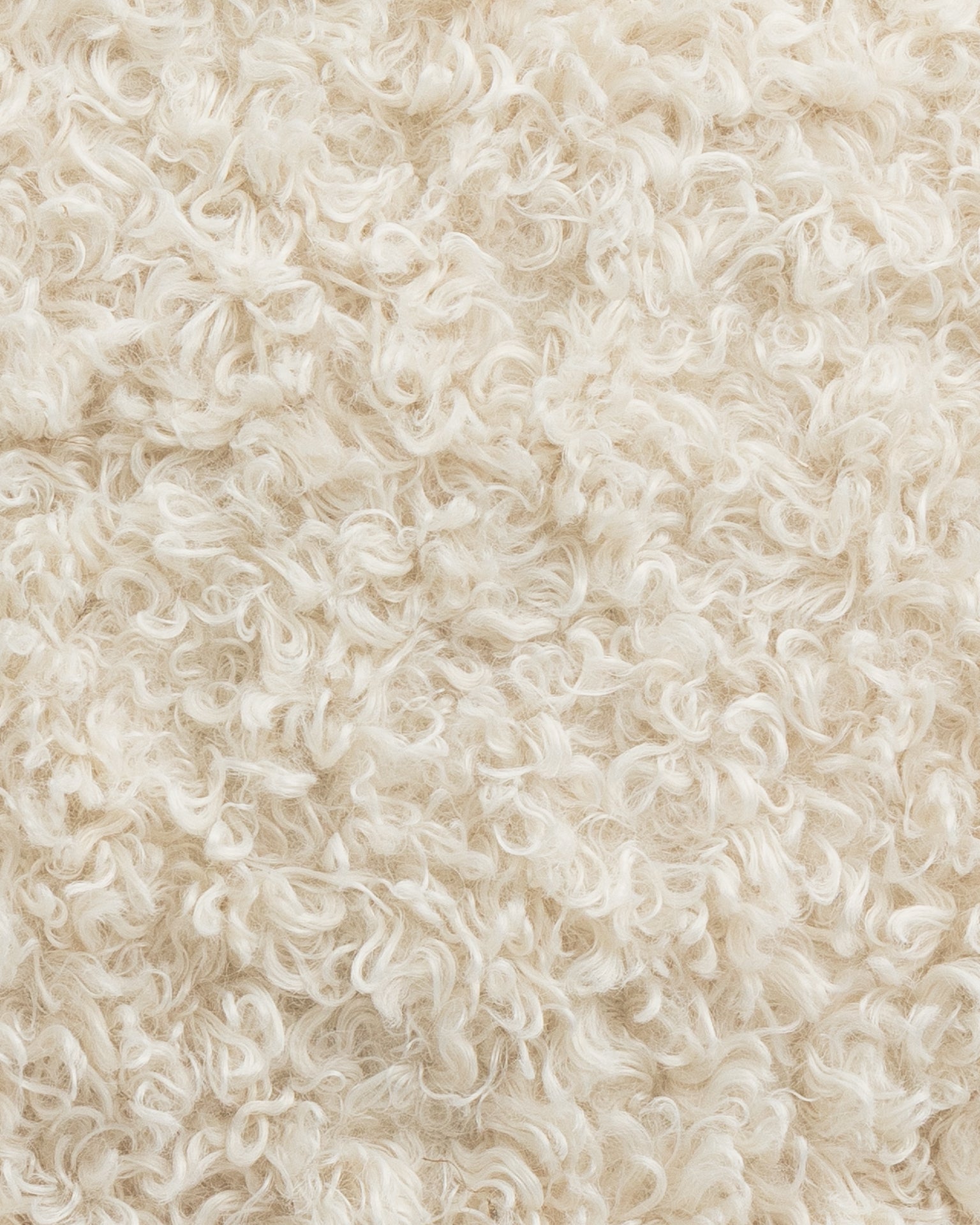 Close-up of a fluffy, curly Gabby sheepskin rug with an off-white color, ideal for a Scottsdale Arizona bungalow, showcasing a dense and textured surface.