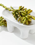 A bunch of unripe, green bananas rests on a modern Montes Doggett 4846 Bowl No.846, a handmade ceramic piece with three legs, set against a clean white background. Another smaller banana bunch extends out of the bowl, enhancing the minimalist aesthetic of the composition. This high-fired ceramic bowl was meticulously crafted in Peru.