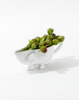 A whimsical, handmade Gravy Boat No. 151 by Montes Doggett stands on its legs, filled with spiky green and burgundy flowers. This high-fired ceramic piece from Peru casts a soft shadow on the clean, white surface.