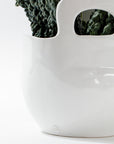 A close-up of the 4994 Bowl no. 994 by Montes Doggett, a glossy, white ceramic piece with a handle and partially filled with a bunch of dark green kale leaves. This high-fired ceramic bowl has a smooth, reflective surface and features a small circular logo embossed near the bottom. Handmade in Peru, it stands as a sculptural statement piece against the plain white background.