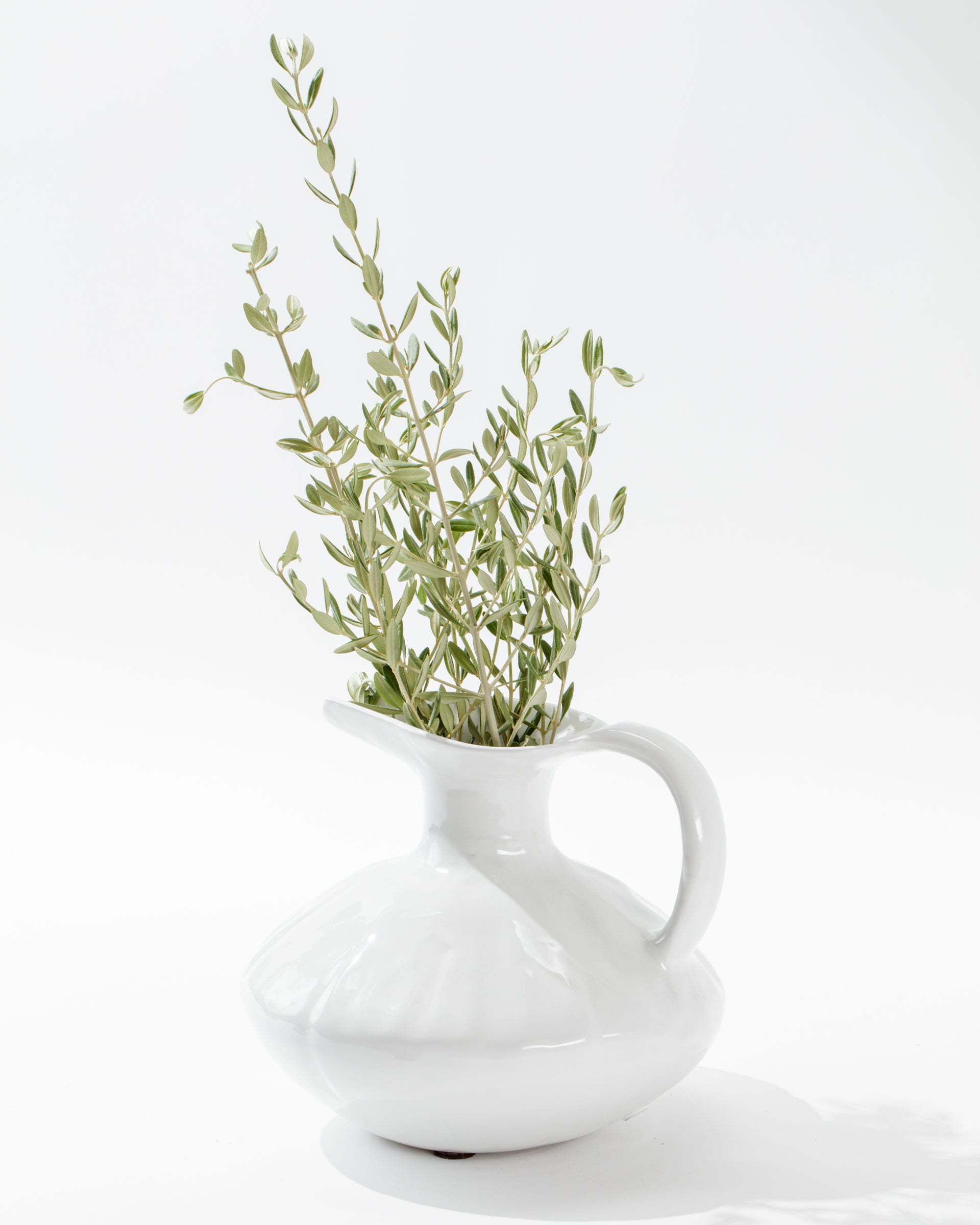 The 5431 Pitcher No. 431 by Montes Doggett, a white ceramic jug with a curved handle handmade in Peru, contains a bouquet of delicate green leafy stems. This high-fired jug features a smooth, glossy finish against a plain, bright white background, highlighting the simplicity and elegance of the arrangement.