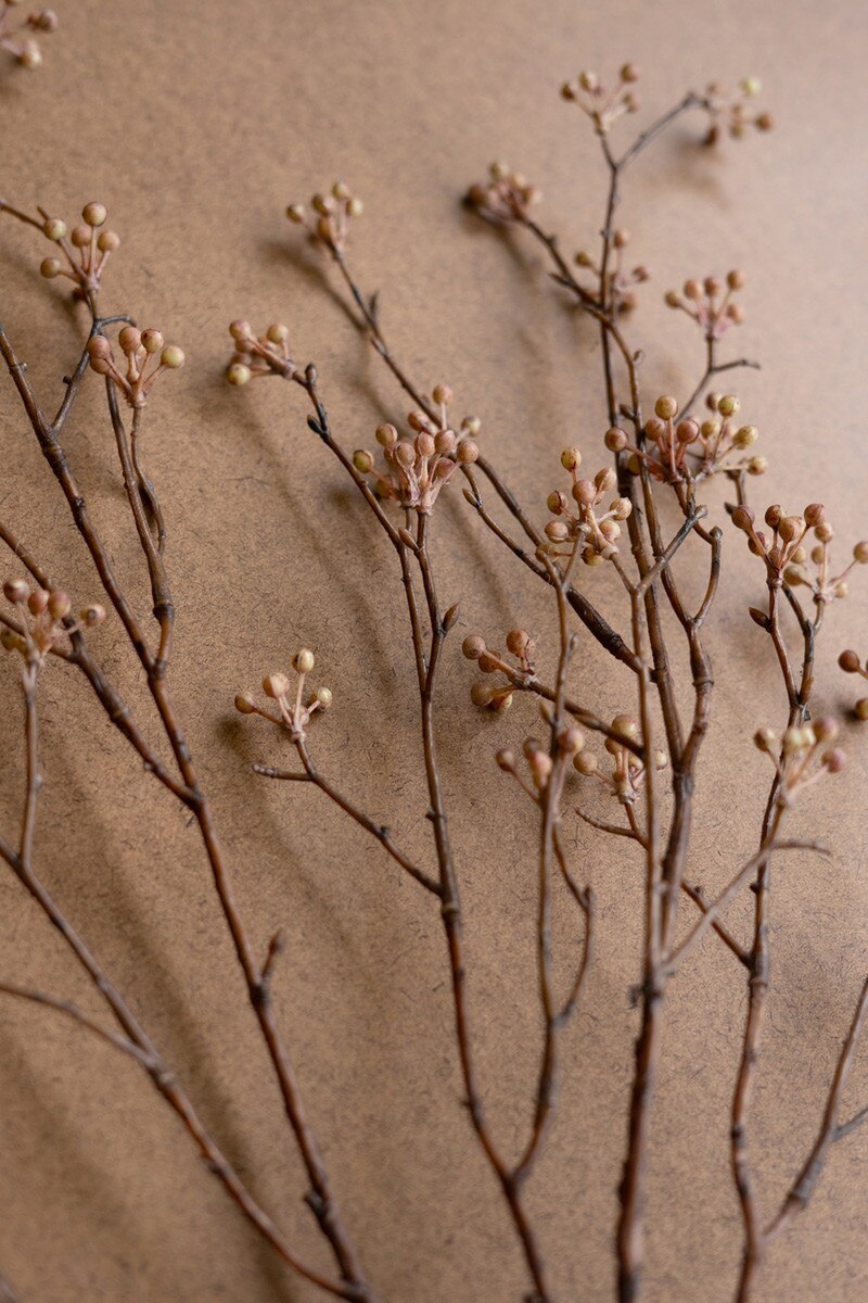 The Kalalou, Inc Budding Branch features thin, dry brown stems with small round beige berries, spread out in a fan-like pattern on a simple brown surface.