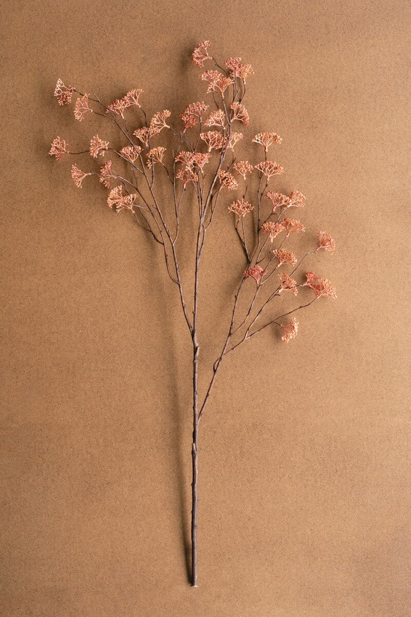 The Rice Flower Blush by Kalalou, Inc features a single dried stem with multiple thin branches and clusters of small blush pink flowers, set against a plain brown background.