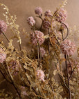 Pink Melaleuca by Kalalou, Inc features dried pink globe flowers, rosy pink melaleuca spray, and fern-like foliage set against a brown background for a rustic, natural look—ideal for spring floral arrangements.