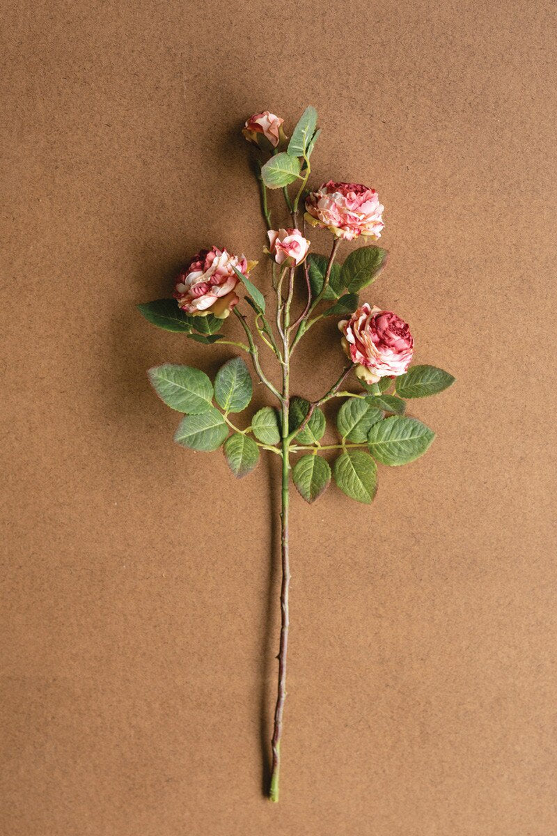 The Garden Rose by Kalalou, Inc features a single pink and white antique bloom with green leaves, laid flat on a simple brown background—ideal for spring arrangements.
