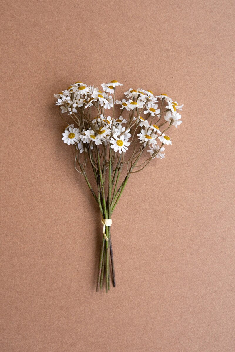 A small bundle of Kalalou, Inc Chamomile—white daisies with yellow centers tied with a light band—rests on a plain brown surface.