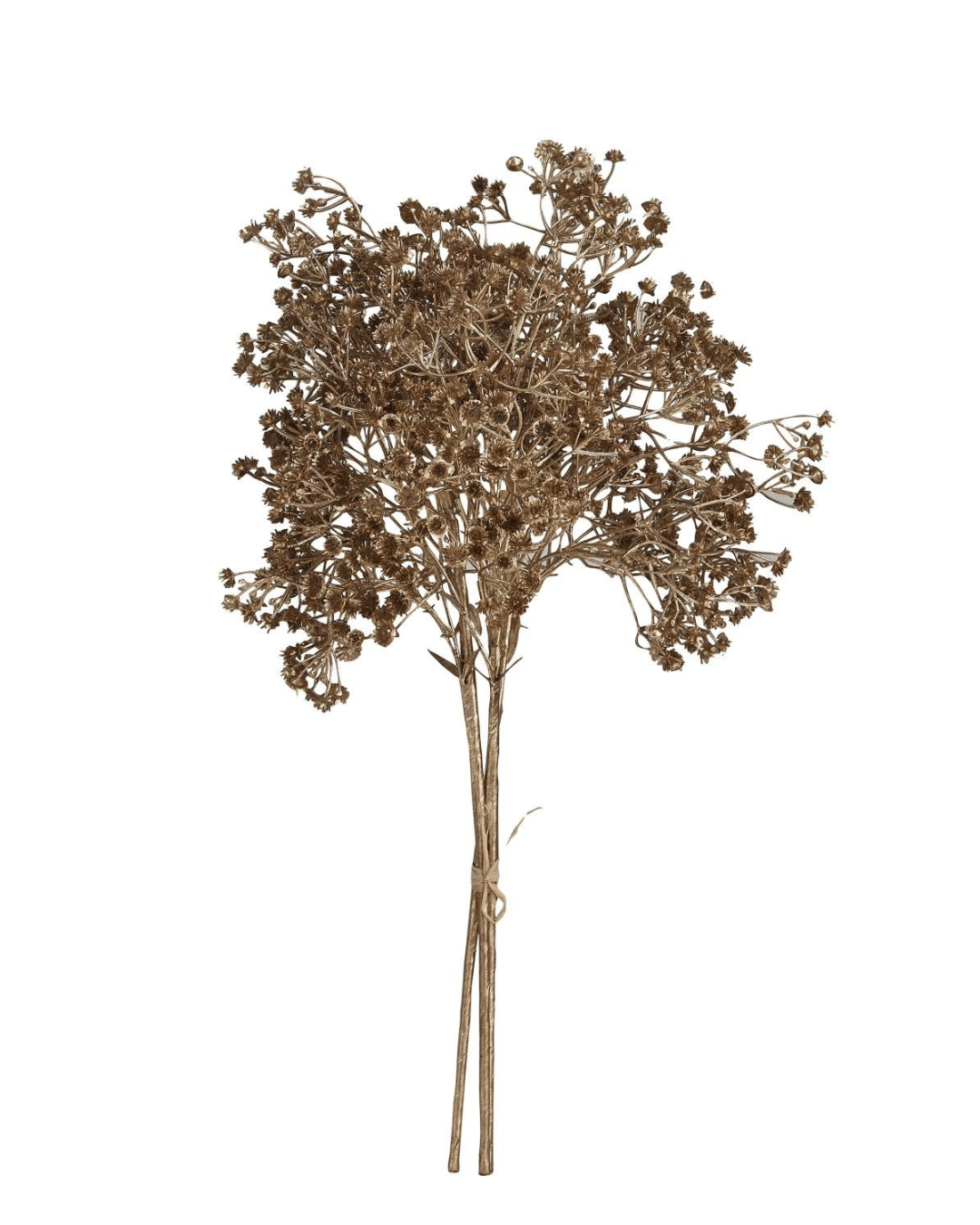 A dried bouquet from Creative Co-op's Botanical Stem Bunch collection features brown baby's breath flowers with multiple small, delicate branches and tiny clustered buds. The stems are tied together at the bottom with a piece of twine, set against a plain white background. This faux botanical stem showcases a subtle gold color that adds an elegant touch.