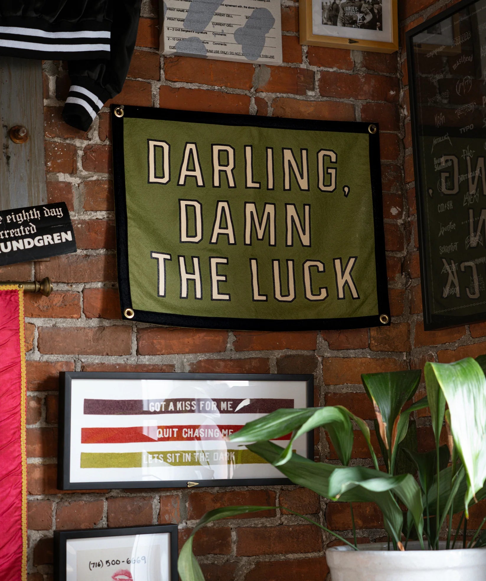 The Darling Damn The Luck Camp Flag 18x24 by Oxford Pennant hangs on a brick wall, featuring bold white lettering and surrounded by framed art, photos, and a green plant in the lower right corner.