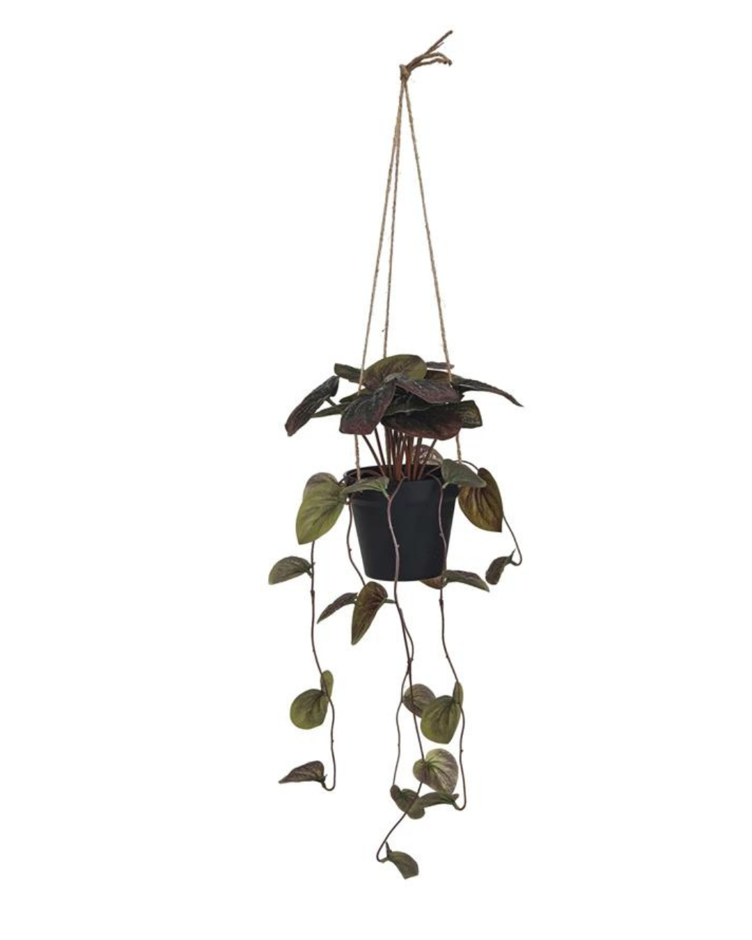 The Watermelon Begonia Plant by Creative Co-op is elegantly suspended in a black plastic pot, held aloft by three ropes. This realistic faux botanical showcases dark green, heart-shaped leaves with trailing vines that cascade downwards, creating a simple and elegant display against a white background.