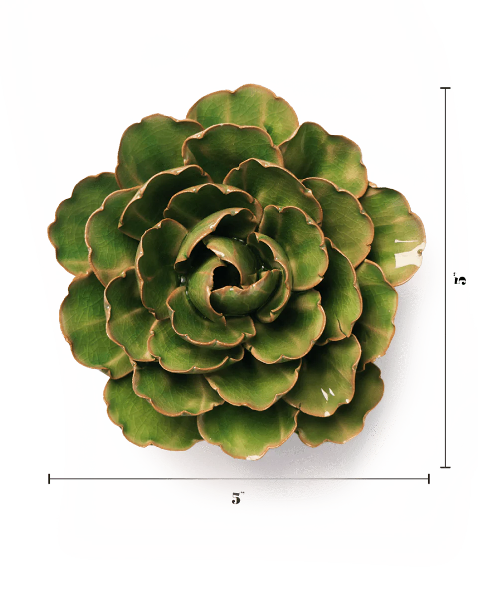 The Avocado Green Keiko Peony by Chive Ceramics (thru Faire) is a rosette-shaped green succulent with scalloped leaves, viewed from above—ideal for plant wall decor. It measures about 5" wide by 5.5" tall, with measurement lines at the bottom and right sides.