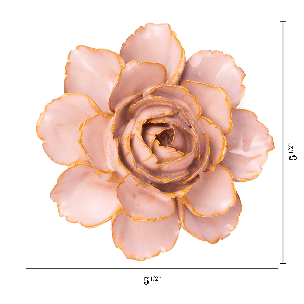 The Chive Ceramics Rose Pink Camellia, an artificial succulent with gold edges, is ideal for plant wall or flower decor and measures 5.5 inches wide and tall, as shown with measurement lines on a white background.