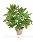 The Money Tree Terra Pot by Natural Decorations Inc., featuring lush green leaves, stands 23" tall and 24" wide with arrows marking its dimensions—an ideal vibrant accent for any space against a clean white background.