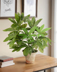 The Money Tree Terra Pot by Natural Decorations Inc. features lush green leaves and sits on a wooden table beside stacked books near a window, with two botanical prints on the beige wall completing the vibrant decor.