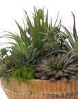 The Succulent Wood Bowl by Natural Decorations Inc. features assorted green and purple succulents with green moss in a round wood bowl, creating a charming, maintenance-free display.