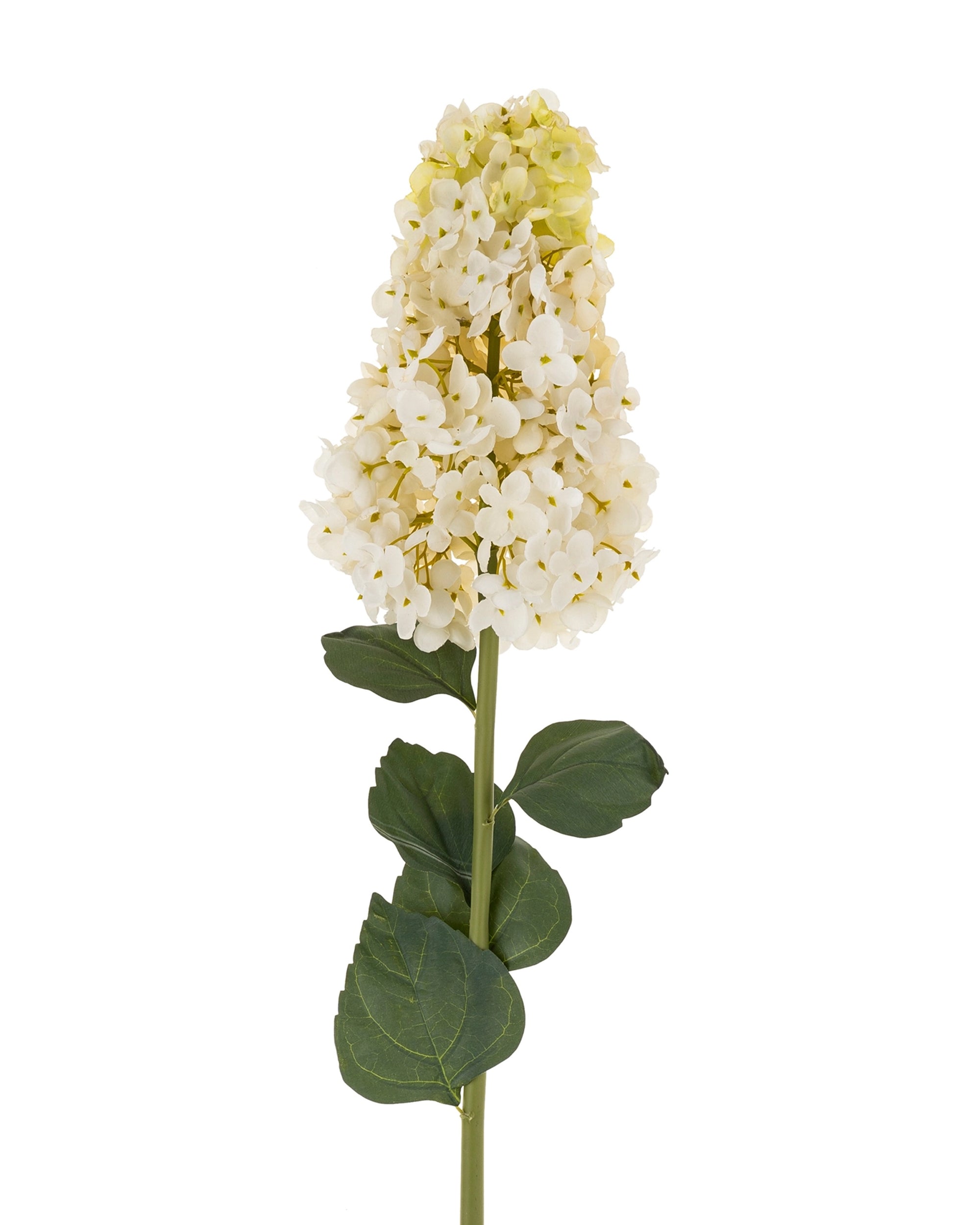 The Hydrangea Paniculata Stem by Indaba features clusters of white blossoms and lush green leaves on a long stem, creating one of our most realistic artificial plants for timeless elegance.
