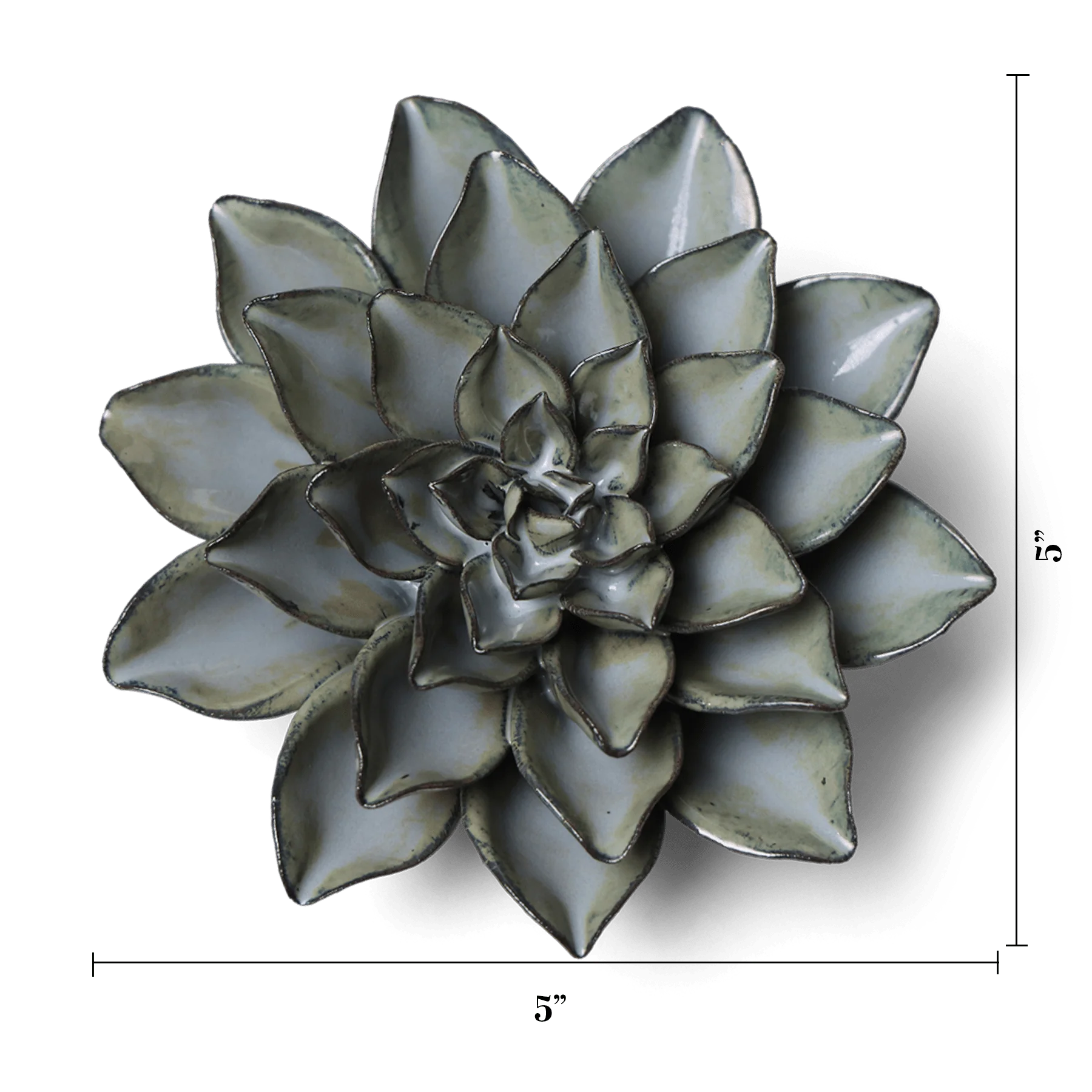 The Goyet Azalea Grey by Chive Ceramics (thru Faire) is a grey succulent with thick, pointed leaves, seen from above. Measuring 5 inches wide and tall, it’s ideal for plant wall decor or to pair with ceramic flower wall hangings.