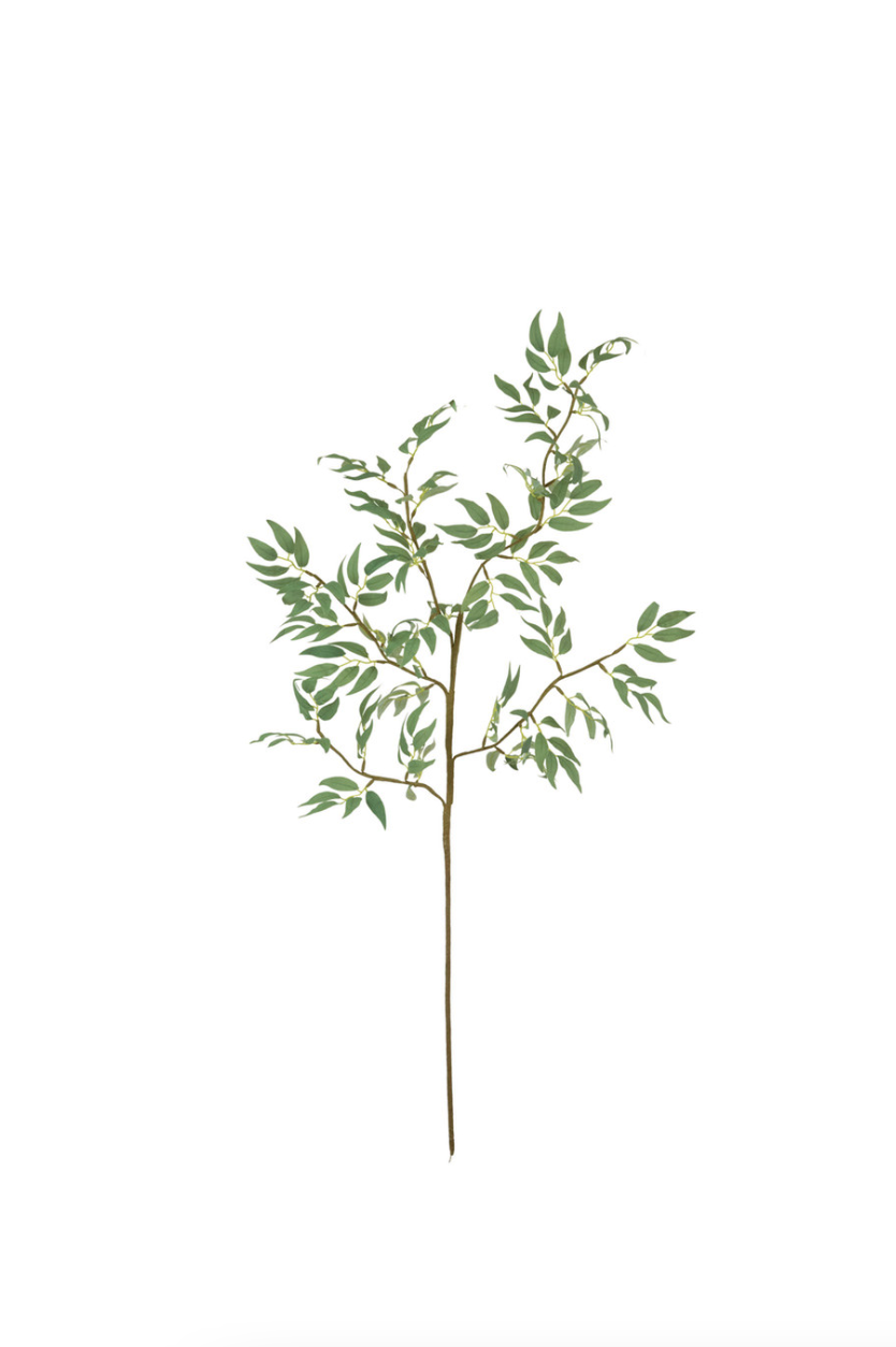 Illustration of a single, slender branch with numerous green leaves from Kalalou, Inc in Scottsdale Arizona, isolated on a plain white background.