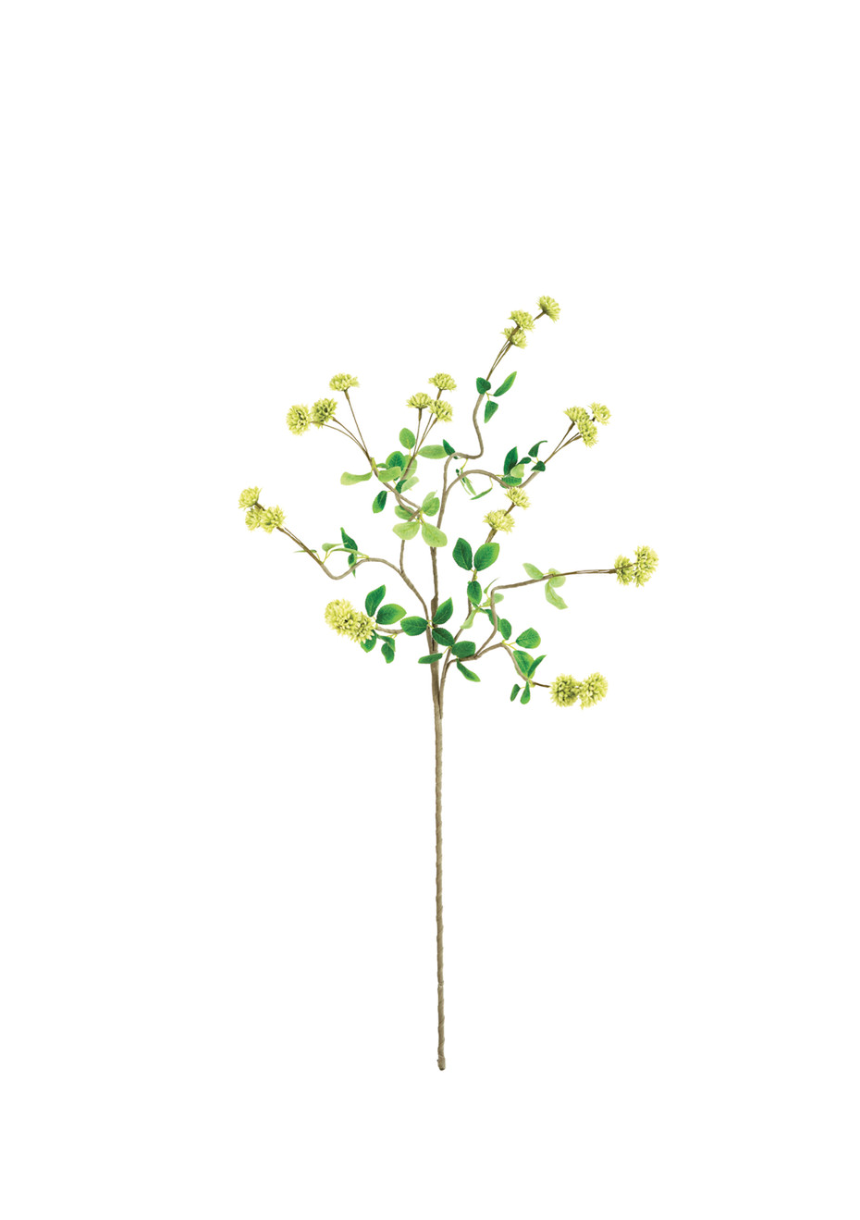 A single branch of a plant with green leaves and small yellow flowers isolated on a white background, native to Scottsdale, Arizona.
Yellow Botanical Stem from Kalalou, Inc.