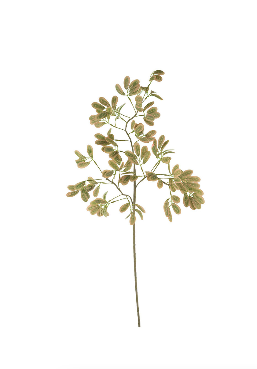 A delicate green botanical sprig illustration from Kalalou, Inc in Scottsdale, Arizona, depicting a plant with a thin stem and clusters of small, oval-shaped leaves against a plain, light background.