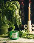 A green vase filled with lush, leafy plants is placed on a marble table. Beside it, a lit beige candle in a unique circular holder shares the space with a green glass "Casa Polanco" candle from Faire's ROEN Mexico City Candles collection. The background features a dark, patterned fabric.