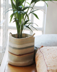 A potted plant with long green leaves sits in a striped, woven Basket Triplet by Lorena Canals on a wooden surface. Adjacent to it is a large, neutral-colored cushion and an orange cushion with subtle patterns. A window with white frames is in the background, complementing the coziness of Reversible Twin rugs nearby.