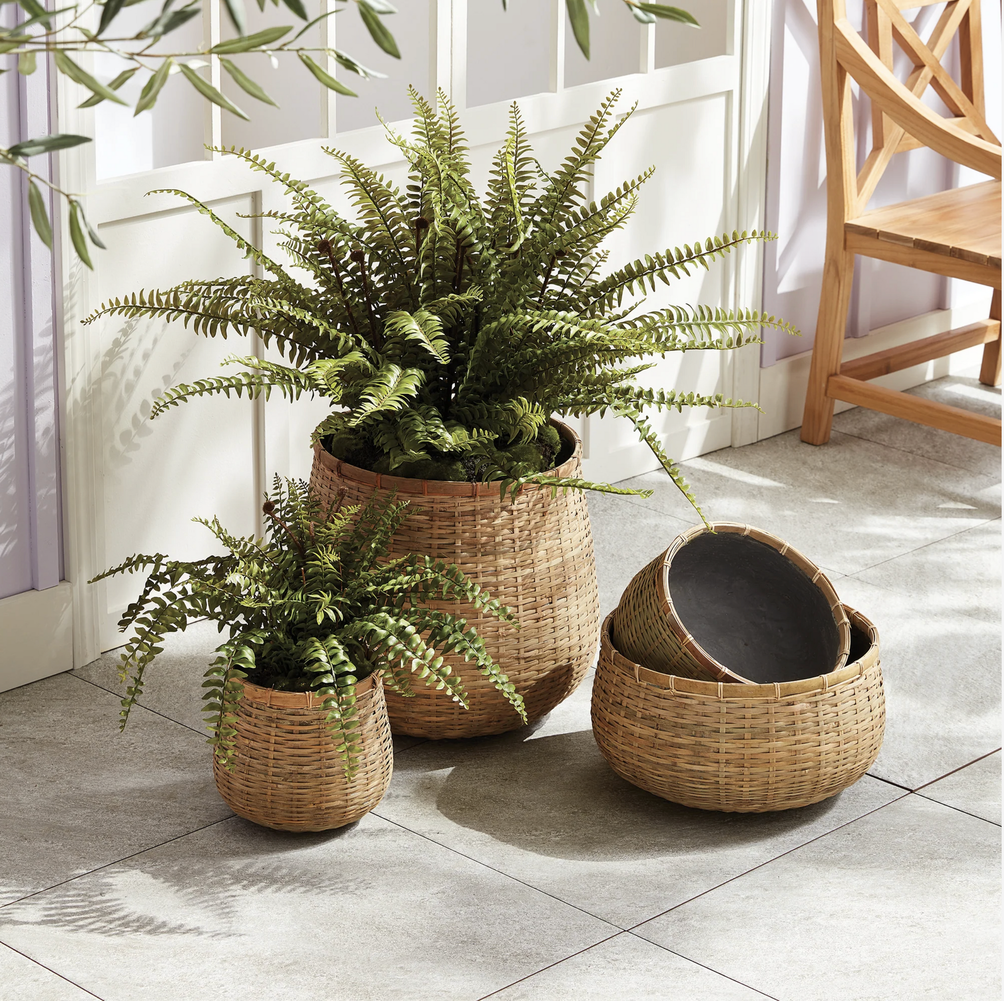Three N3AC02 Wovenshire Low Bowl L baskets by Napa Home & Garden sit on a tiled floor; two cradle lush green ferns, while one holds natural bamboo bowls. Sunlight pours through a window, casting gentle shadows.