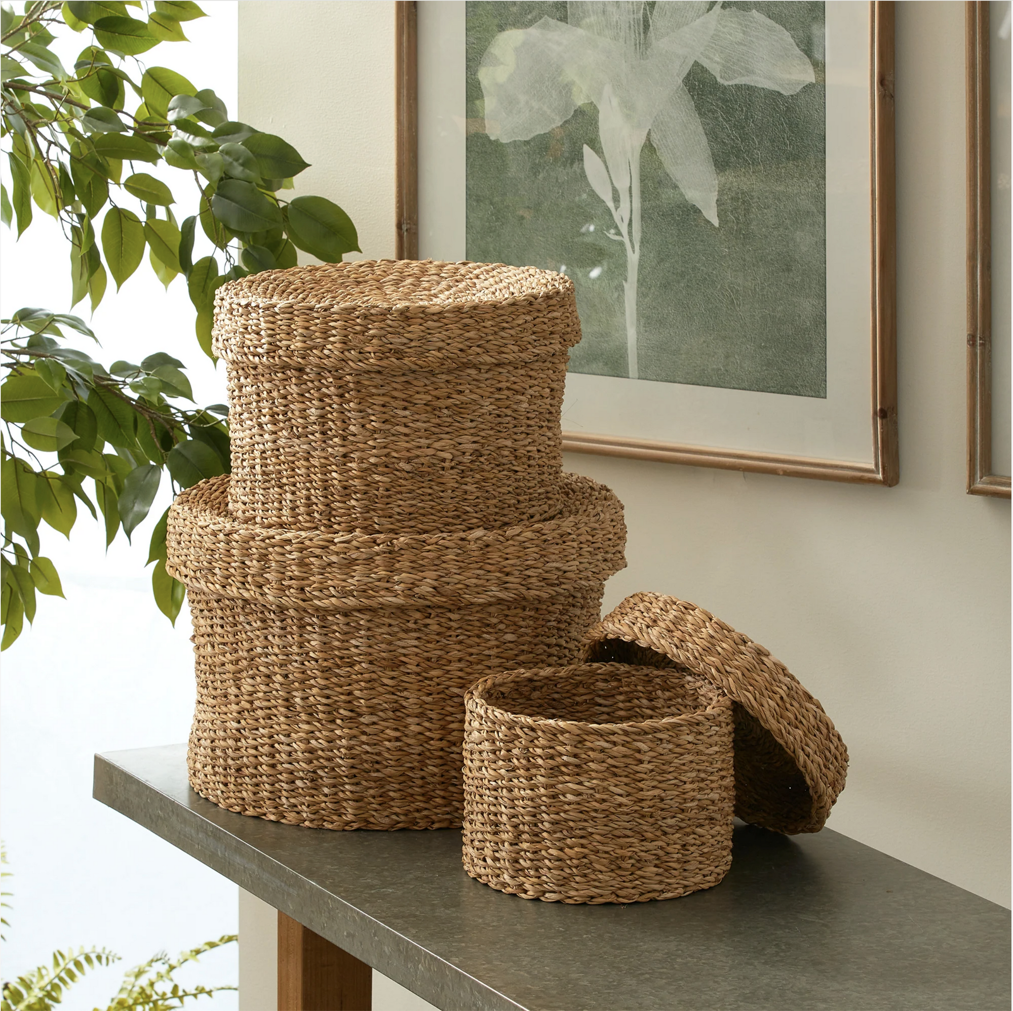 Three Napa Home & Garden Seagrass Round Lidded Baskets are stacked on a countertop, one lid set aside to highlight their storage versatility. The scene is complemented by green leafy plants and framed botanical art in the background.
