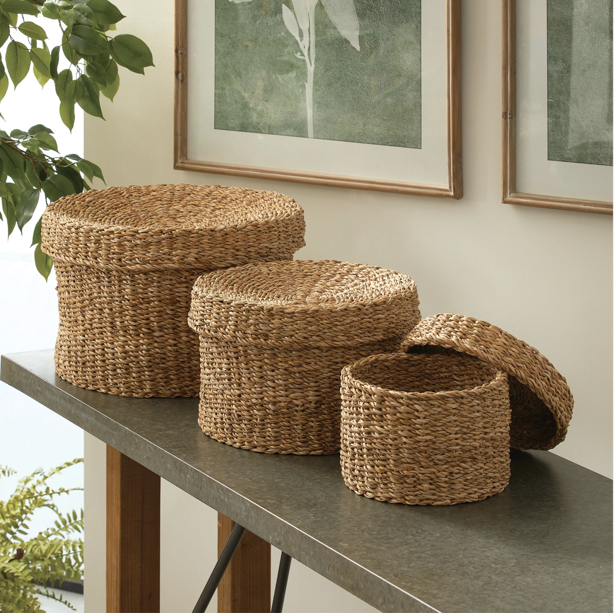Three Napa Home & Garden Seagrass Round Lidded Baskets sit on a gray table; two are closed and one’s lid rests beside it. Plants and framed artwork in the background enhance the versatile storage baskets’ display.
