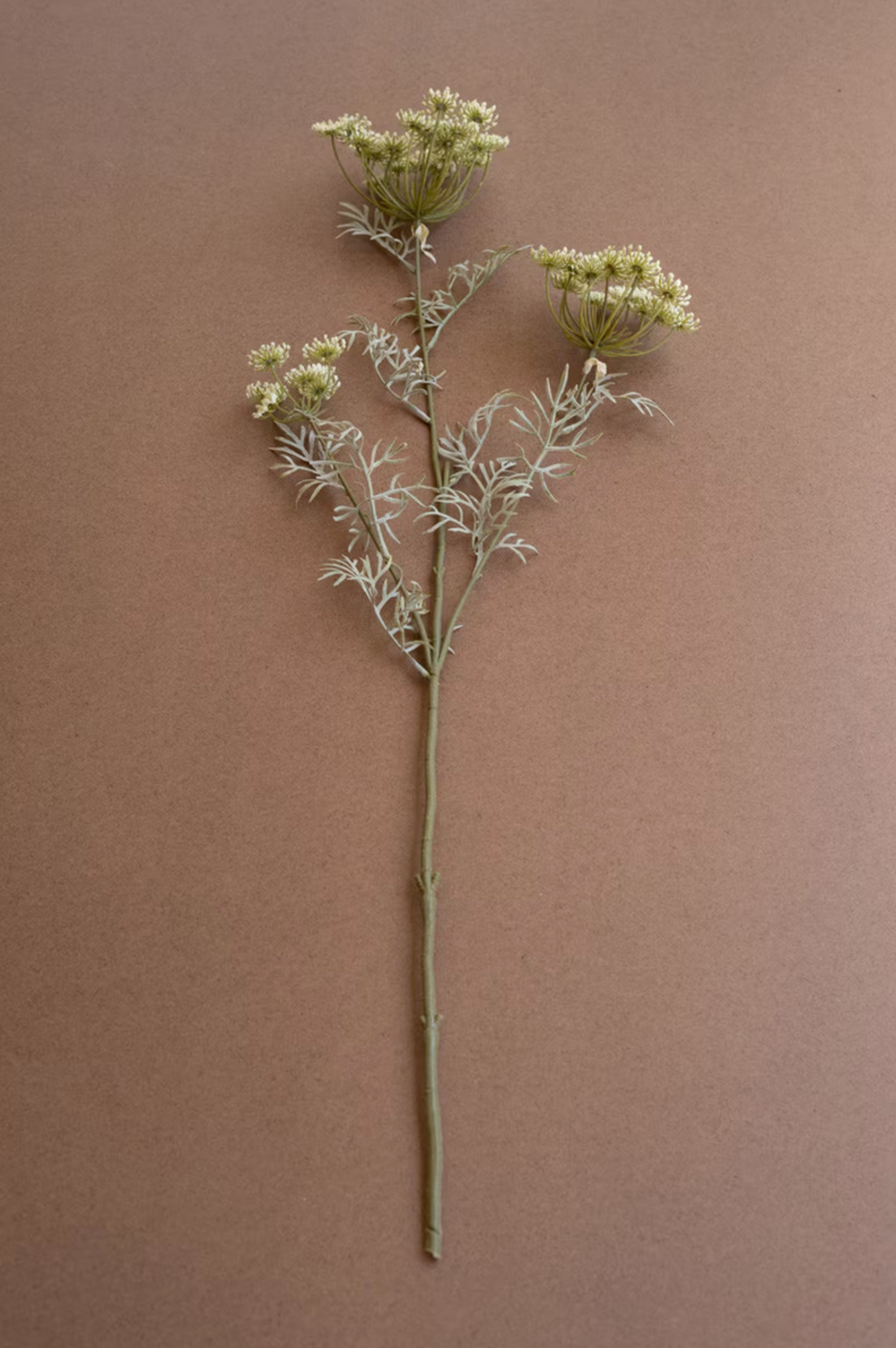 Delicate white lace flower spray by Kalalou, set against a warm brown background for Bungalow Furniture &amp; Accessories.