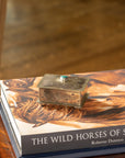 The Small Stamped Box w/ Turquoise by J Alexander Rustic Silver sits atop "The Wild Horses of Sable Island" by Roberto Dutesco, adding Southwestern charm as a turquoise keepsake box on a wooden table.