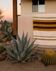 Handwoven Golden Horizon blanket by Faire on beige wall, styled with cacti and desert plants in sunset light.