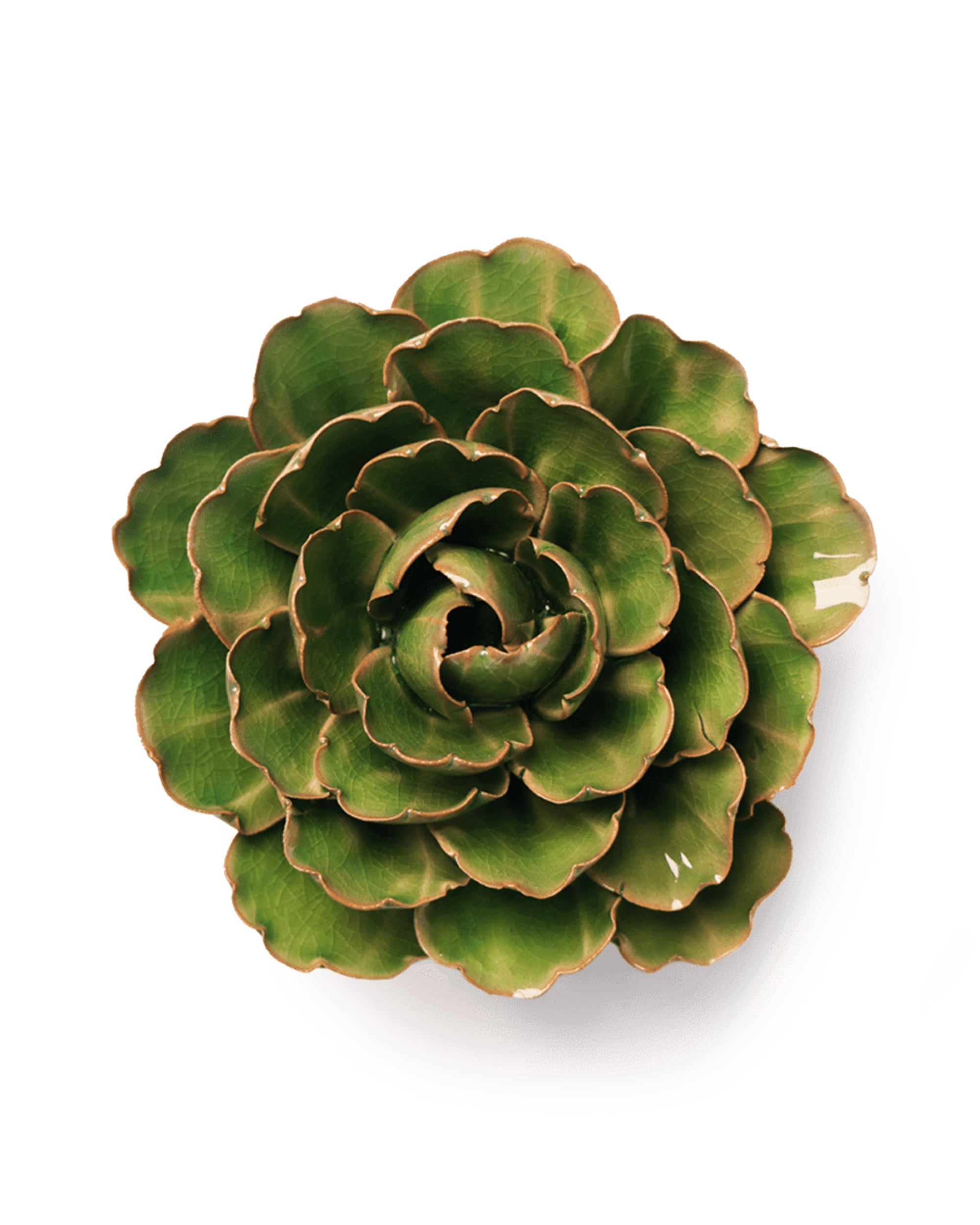 A top-down view of the Accents Peony by Chive Ceramics (thru Faire), a green ceramic succulent with layered, rounded leaves edged in brown, resembling wall flowers, set against a white background for striking wall art decor.
