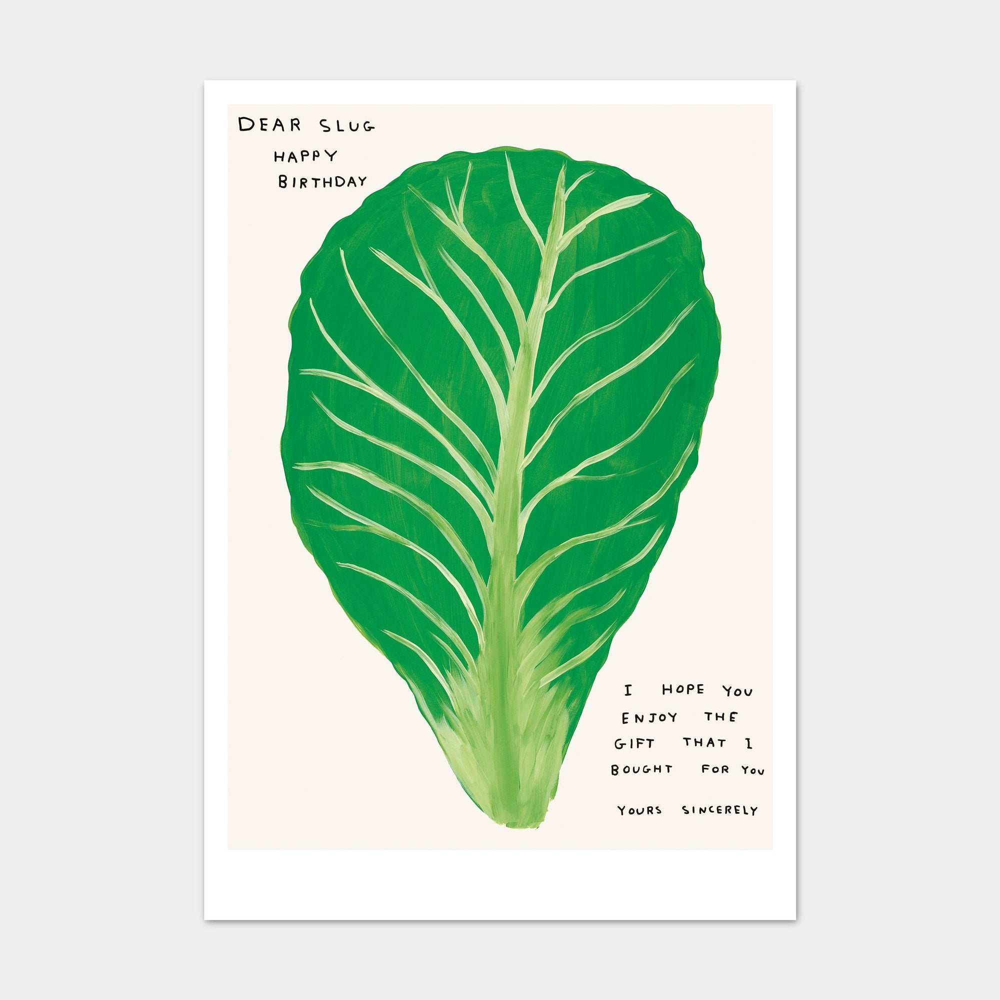 The Dear Slug, Happy Birthday Postcard by Faire features a playful green leaf illustration and the message: "Dear Slug Happy Birthday. I hope you enjoy the gift that I bought for you. Yours sincerely.