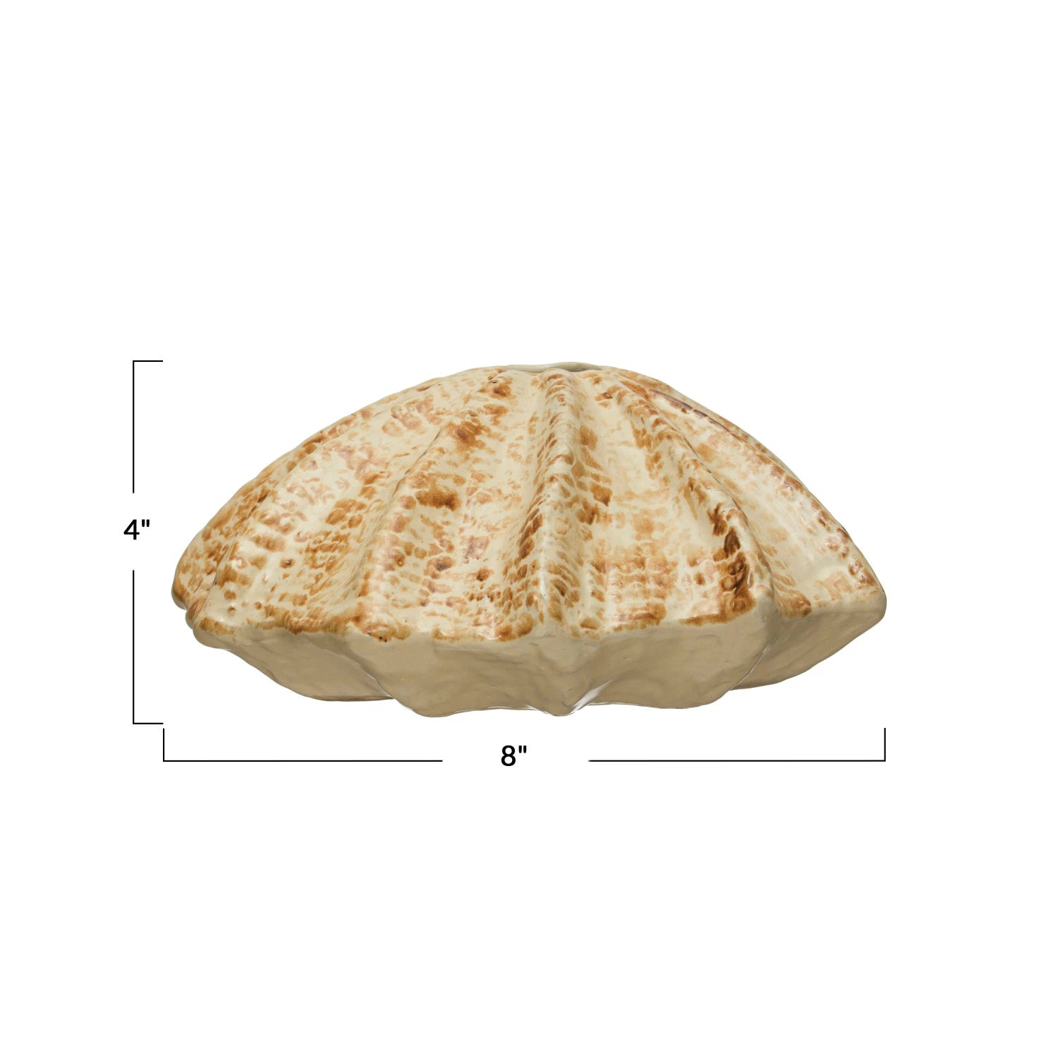 The Creative Co-op Stoneware Shell Shaped Vase, in beige and brown with textured ridges, is displayed against a white background. Labeled lines show it measures 4" tall by 8" wide, making it ideal for coastal home décor.