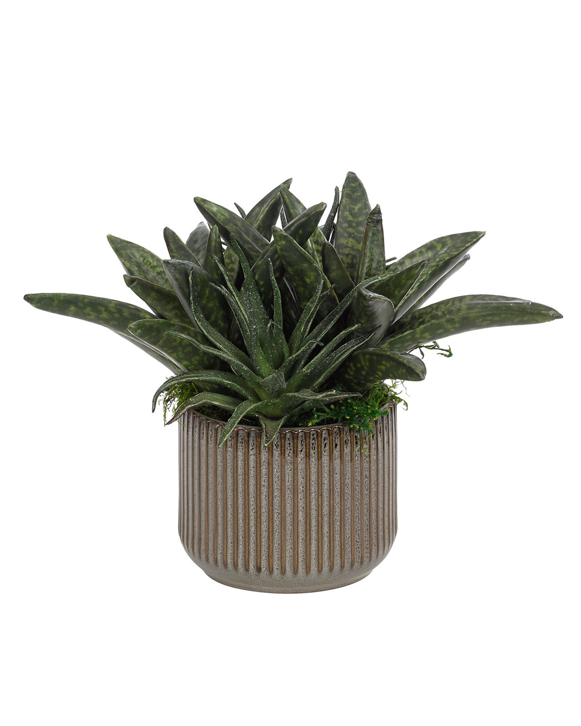 The Aloe Succulent Green by Natural Decorations Inc. features pointy green leaves and comes in a round, ribbed ceramic pot, displayed against a white background.