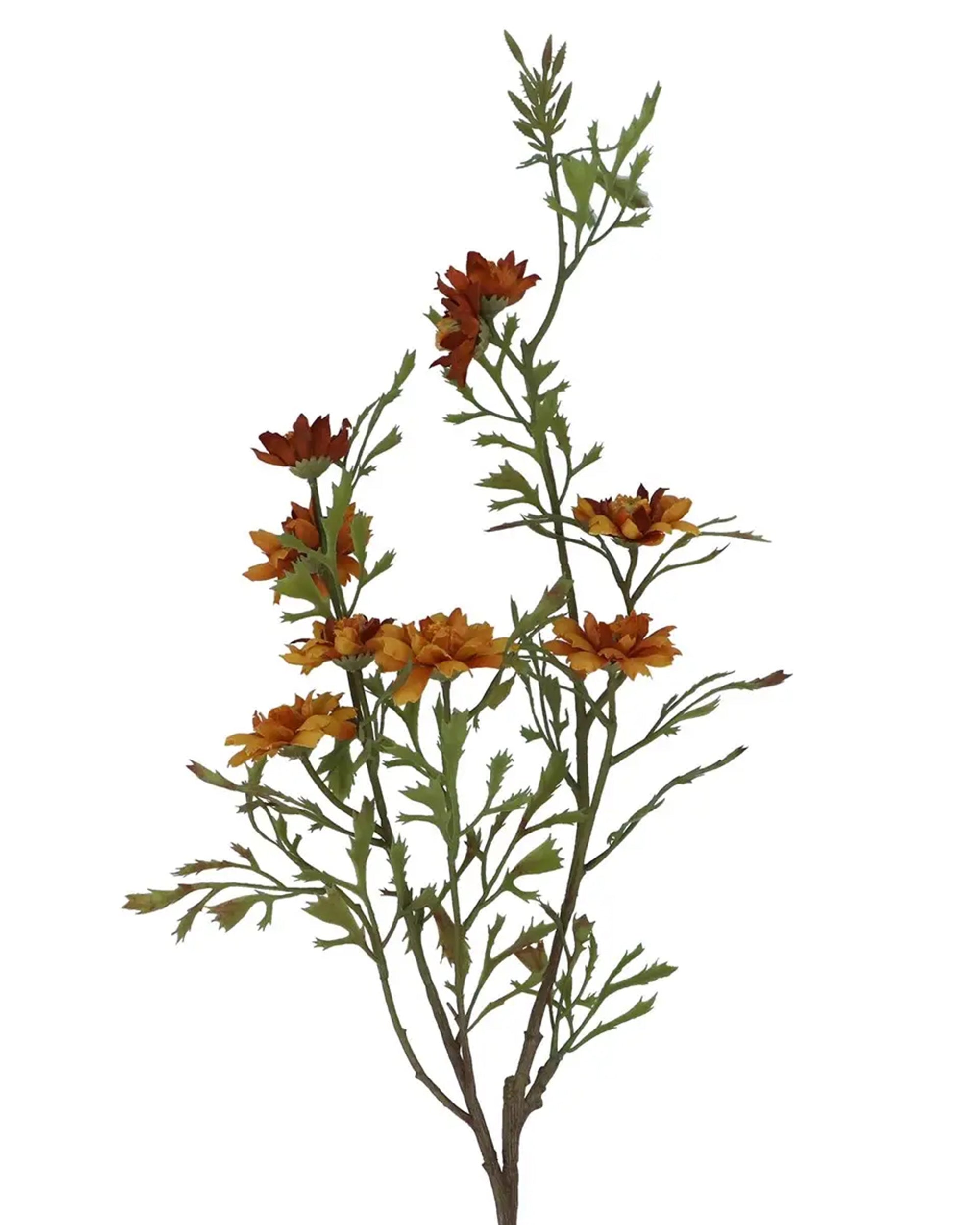 Antique yellow and brown wild aster spray with realistic blooms by Faire, perfect for home decor at Bungalow Furniture.