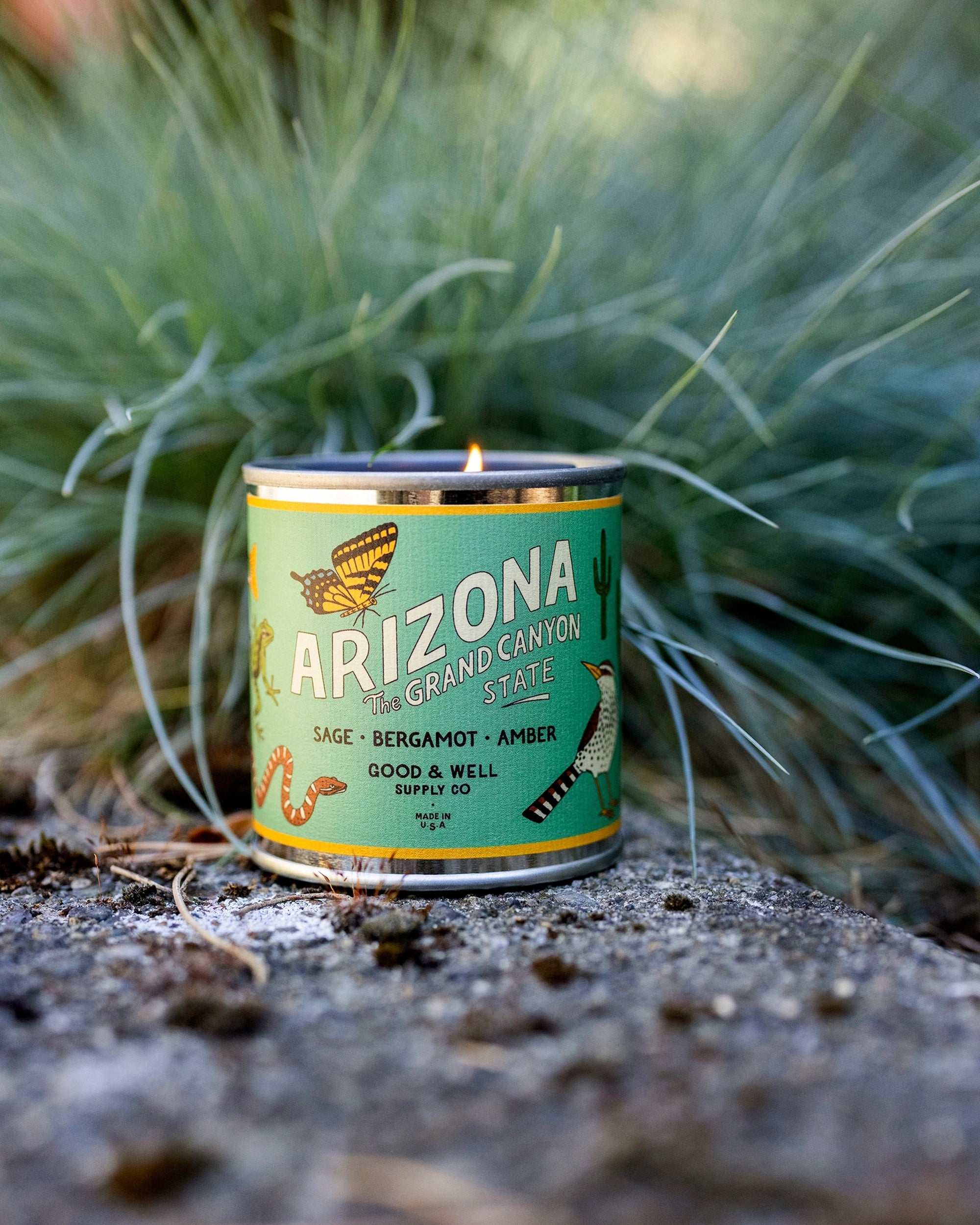 The Faire Arizona State Soy Candle, featuring sage, bergamot, and amber scents inspired by Arizona, rests outdoors on a stone with tall grass softly blurred in the background.