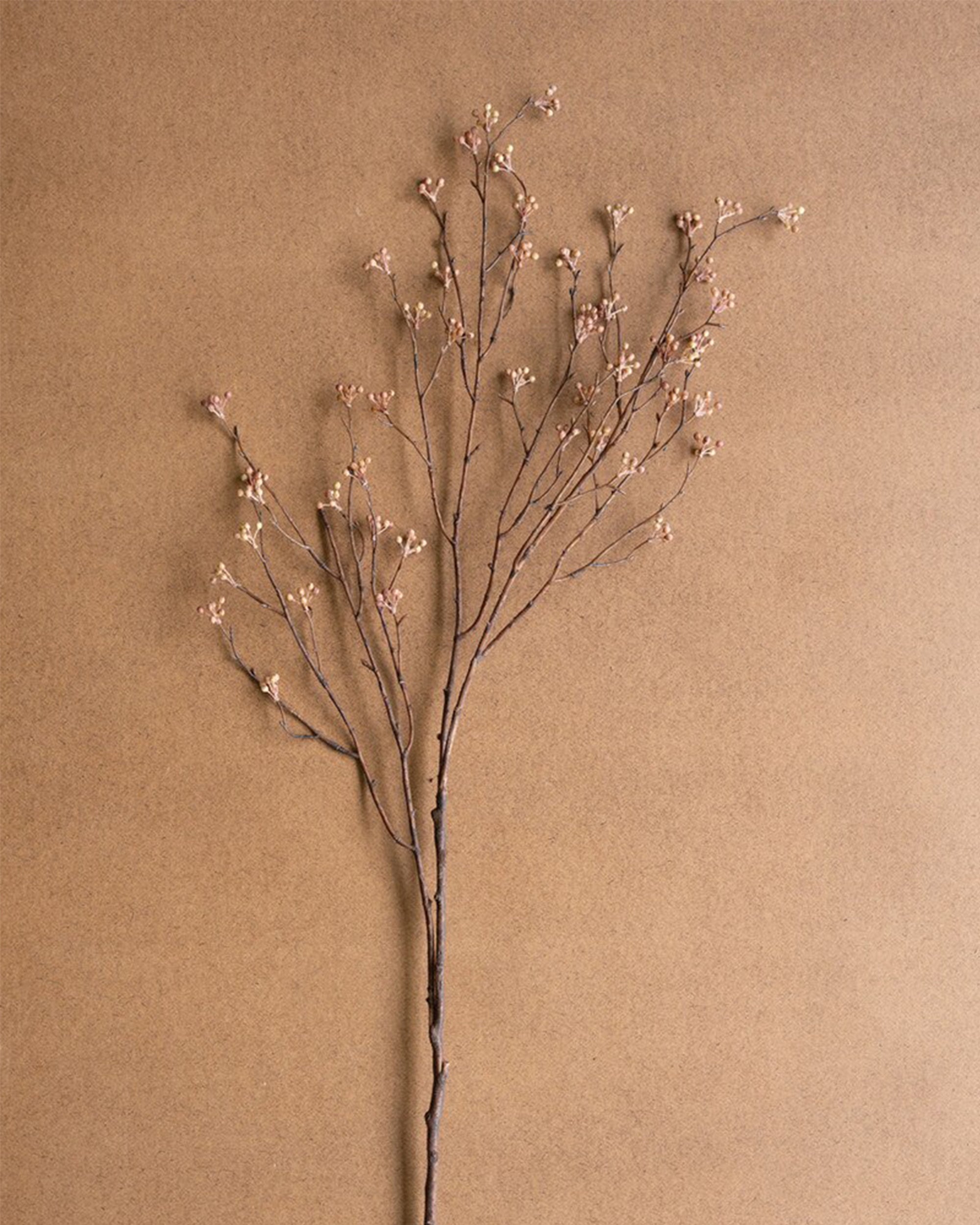The Budding Branch by Kalalou, Inc features a single slender stem with tiny pink flowers, shown against a plain light brown background. Delicate clusters at the tips showcase its subtle natural beauty.