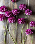The Abigail Ahern Purple Carnation features vibrant purple blooms with long green stems, arranged on a rustic wooden surface to create a striking floral display that contrasts beautifully with the weathered wood.